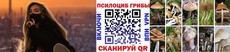 Галлюциногенные грибы мицелий наркошоп Завитинск